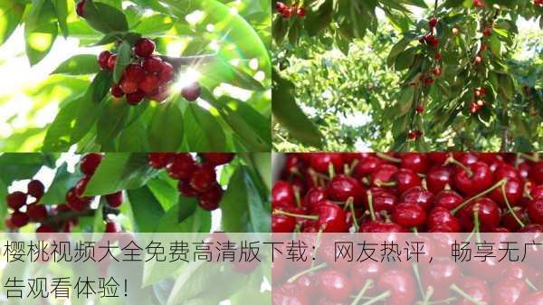 樱桃视频大全免费高清版下载：网友热评，畅享无广告观看体验！