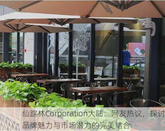 仙踪林Corporation大陆：网友热议，探讨品牌魅力与市场潜力的完美结合