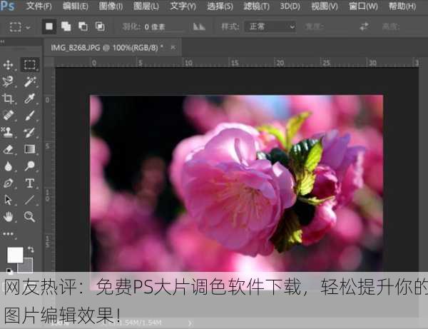 网友热评：免费PS大片调色软件下载，轻松提升你的图片编辑效果！