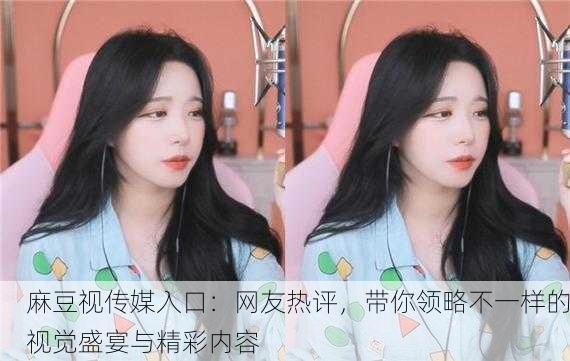麻豆视传媒入口：网友热评，带你领略不一样的视觉盛宴与精彩内容