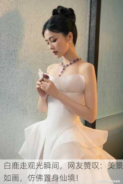 白鹿走观光瞬间，网友赞叹：美景如画，仿佛置身仙境！