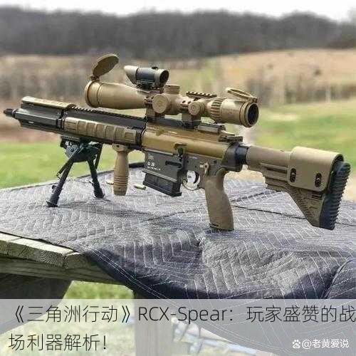 《三角洲行动》RCX-Spear：玩家盛赞的战场利器解析！