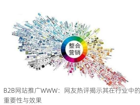 B2B网站推广WWW：网友热评揭示其在行业中的重要性与效果