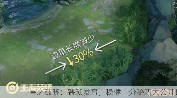 星之破晓：猥琐发育，稳健上分秘籍大公开！