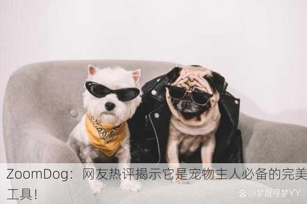 ZoomDog：网友热评揭示它是宠物主人必备的完美工具！