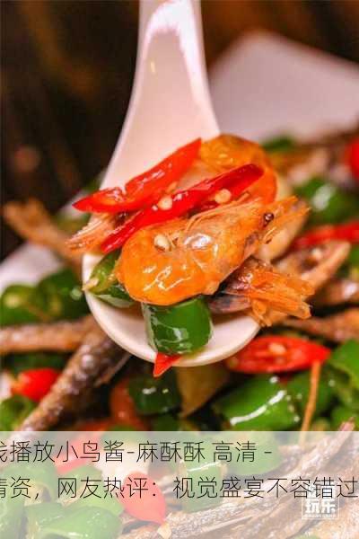 在线播放小鸟酱-麻酥酥 高清 - 高清资，网友热评：视觉盛宴不容错过！
