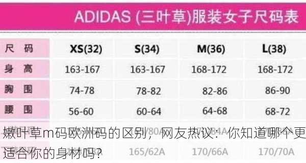 嫩叶草m码欧洲码的区别，网友热议：你知道哪个更适合你的身材吗？