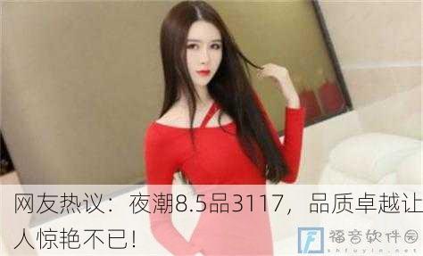 网友热议：夜潮8.5品3117，品质卓越让人惊艳不已！