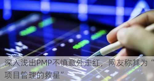 深入浅出PMP不慎意外走红，网友称其为“项目管理的救星”