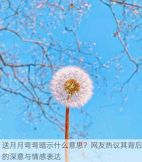 送月月弯弯暗示什么意思？网友热议其背后的深意与情感表达