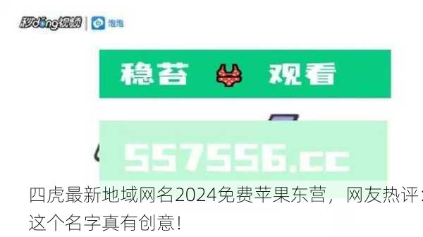 四虎最新地域网名2024免费苹果东营，网友热评：这个名字真有创意！
