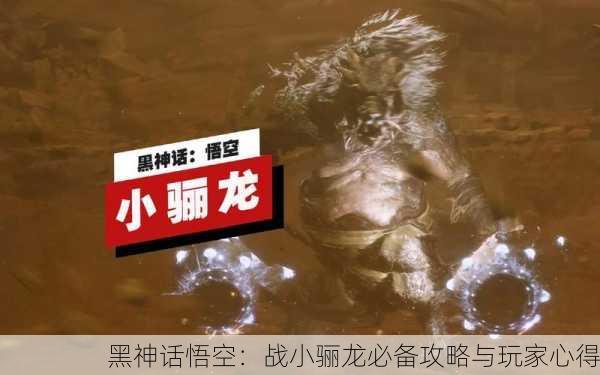 黑神话悟空：战小骊龙必备攻略与玩家心得