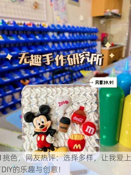 91挑色，网友热评：选择多样，让我爱上了DIY的乐趣与创意！