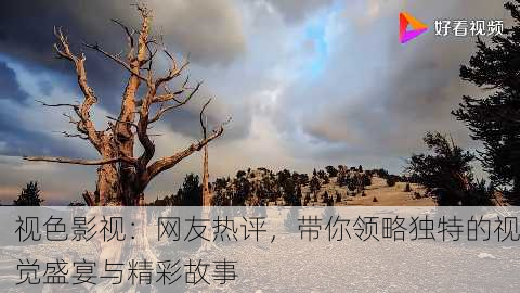 视色影视：网友热评，带你领略独特的视觉盛宴与精彩故事