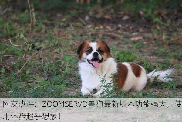 网友热评：ZOOMSERVO兽狗最新版本功能强大，使用体验超乎想象！
