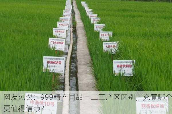 网友热议：999精产国品一二三产区区别，究竟哪个更值得信赖？