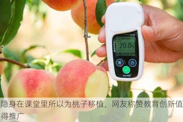 隐身在课堂里所以为桃子移植，网友称赞教育创新值得推广