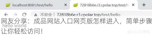 网友分享：成品网站入口网页版怎样进入，简单步骤让你轻松访问！