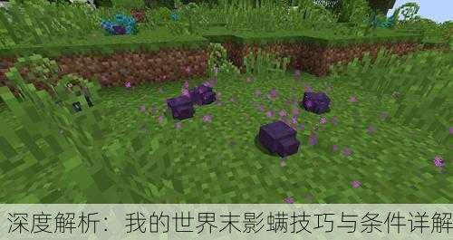 深度解析：我的世界末影螨技巧与条件详解