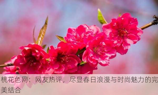 桃花色网：网友热评，尽显春日浪漫与时尚魅力的完美结合