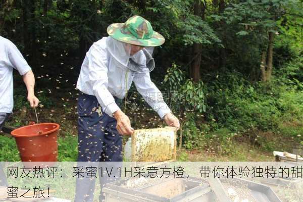 网友热评：采蜜1V.1H采意方橙，带你体验独特的甜蜜之旅！