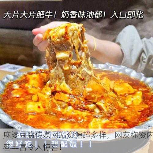 麻婆豆腐传媒网站资源超多样，网友称赞内容丰富令人惊喜！