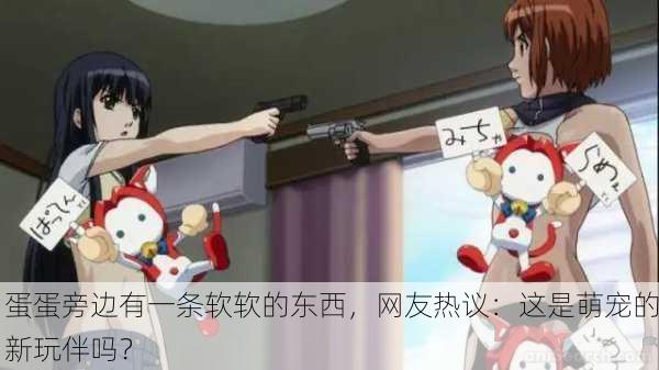 蛋蛋旁边有一条软软的东西，网友热议：这是萌宠的新玩伴吗？