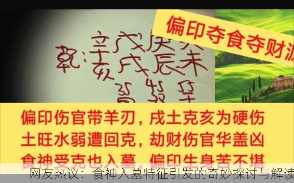 网友热议：食神入墓特征引发的奇妙探讨与解读