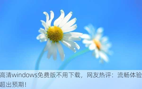 高清windows免费版不用下载，网友热评：流畅体验超出预期！