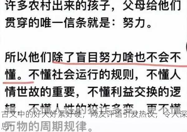 古文中的好大好紧好硬，网友评语引发热议，令人深思！