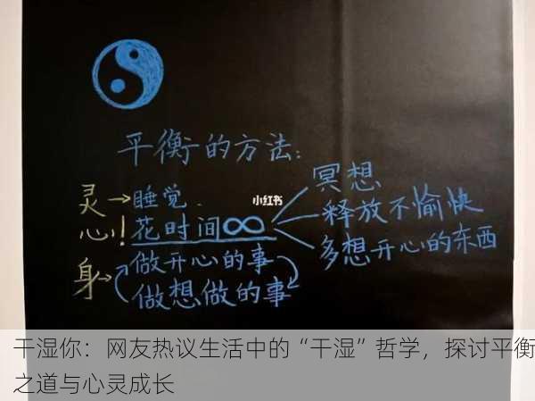 干湿你：网友热议生活中的“干湿”哲学，探讨平衡之道与心灵成长