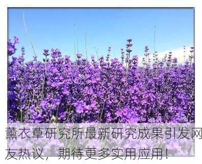 薰衣草研究所最新研究成果引发网友热议，期待更多实用应用！