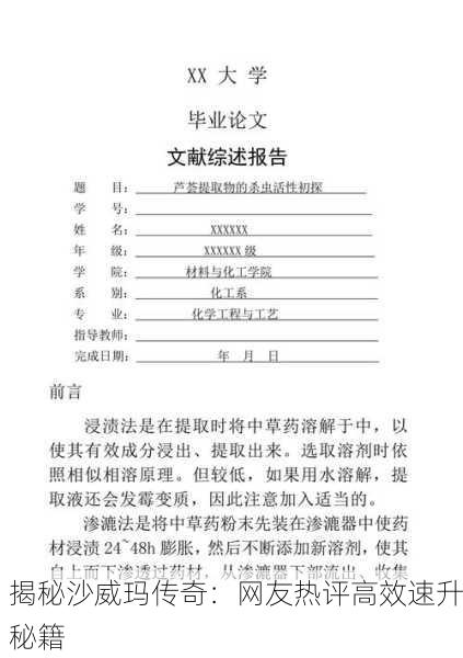 揭秘沙威玛传奇：网友热评高效速升秘籍