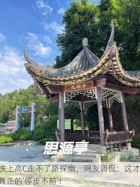 地铁上高C走不了路探幽，网友调侃：这才是真正的‘停步不前’！