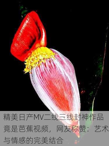 精美日产MV二线三线封神作品竟是芭蕉视频，网友称赞：艺术与情感的完美结合