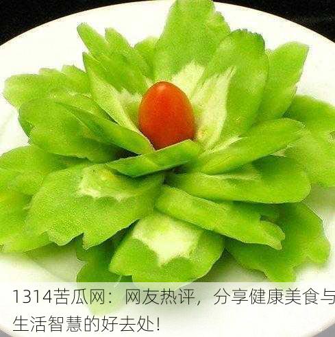 1314苦瓜网：网友热评，分享健康美食与生活智慧的好去处！