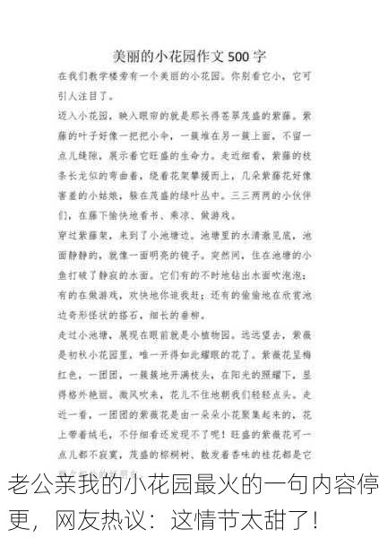 老公亲我的小花园最火的一句内容停更，网友热议：这情节太甜了！