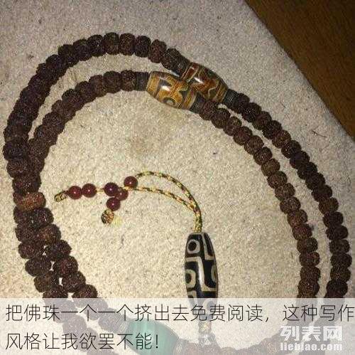 把佛珠一个一个挤出去免费阅读，这种写作风格让我欲罢不能！
