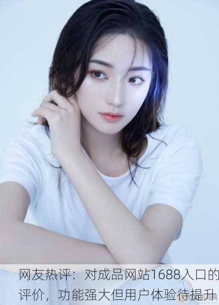 网友热评：对成品网站1688入口的评价，功能强大但用户体验待提升