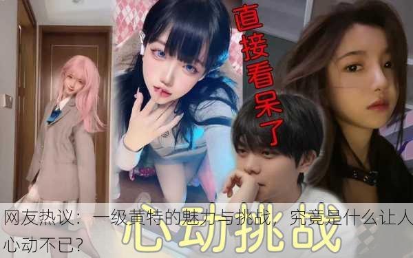 网友热议：一级黄特的魅力与挑战，究竟是什么让人心动不已？
