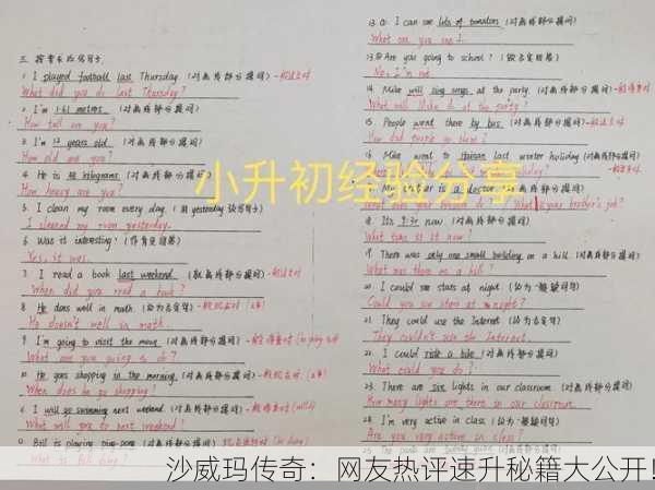 沙威玛传奇：网友热评速升秘籍大公开！