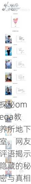 探秘omega教养所地下室，网友评语揭示隐藏的秘密与真相