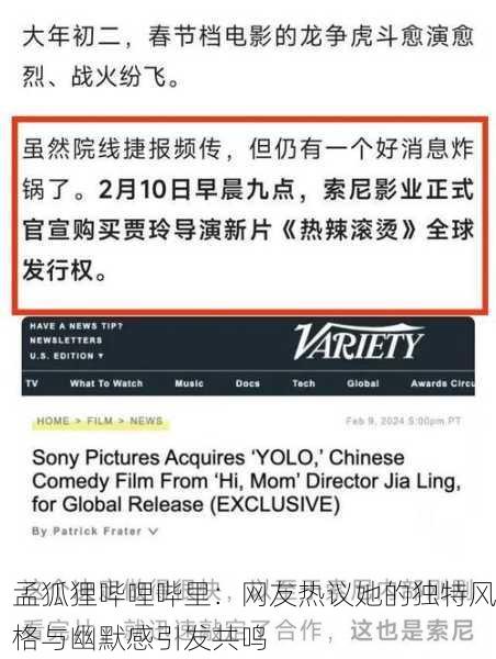 孟狐狸哔哩哔里：网友热议她的独特风格与幽默感引发共鸣