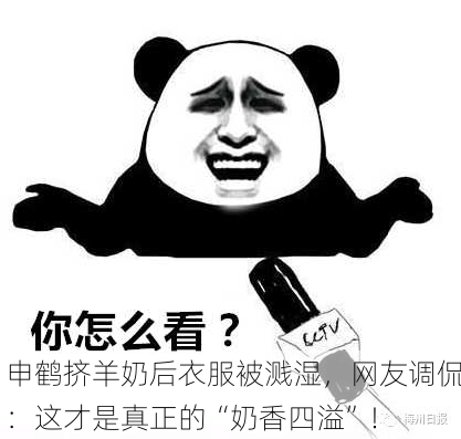 申鹤挤羊奶后衣服被溅湿，网友调侃：这才是真正的“奶香四溢”！