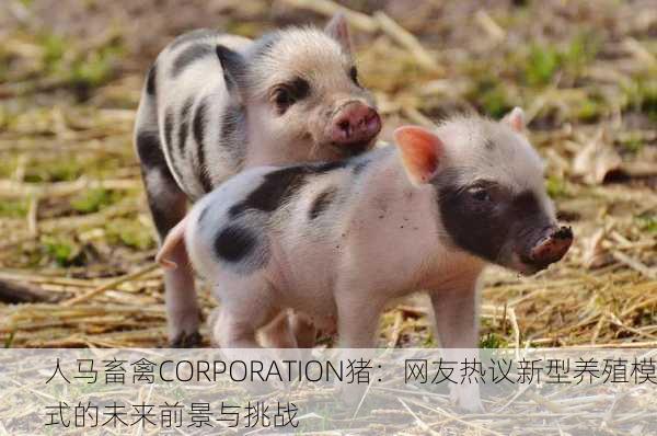 人马畜禽CORPORATION猪：网友热议新型养殖模式的未来前景与挑战