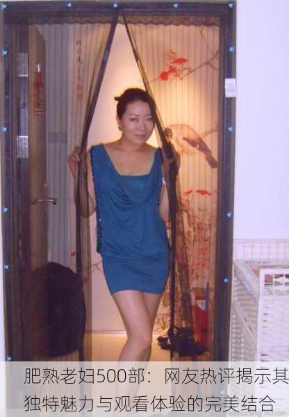 肥熟老妇500部：网友热评揭示其独特魅力与观看体验的完美结合