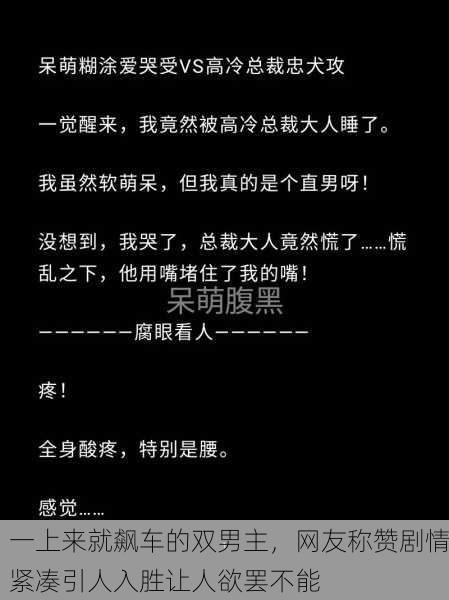 一上来就飙车的双男主，网友称赞剧情紧凑引人入胜让人欲罢不能