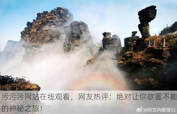 污污污网站在线观看，网友热评：绝对让你欲罢不能的神秘之旅！