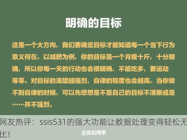 网友热评：ssis531的强大功能让数据处理变得轻松无比！