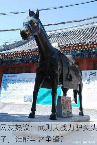 网友热议：武则天战力驴头头子，谁能与之争锋？